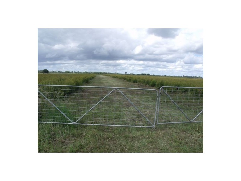 171 Leslie Lane, Tucki Tucki NSW 2480