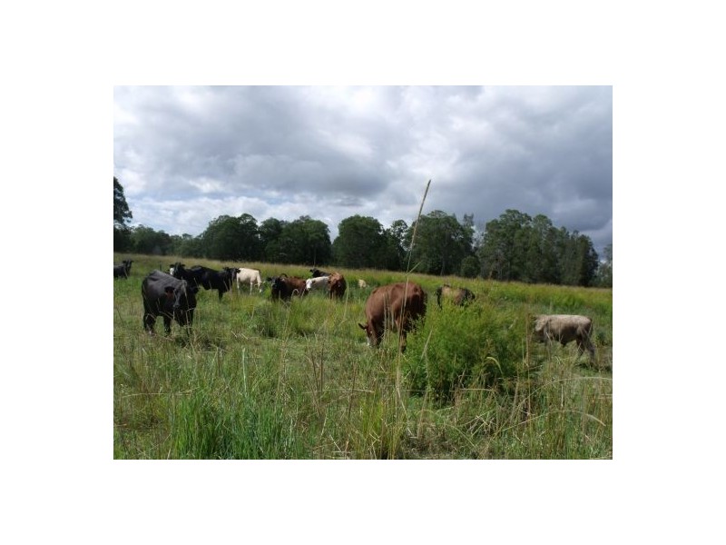 171 Leslie Lane, Tucki Tucki NSW 2480