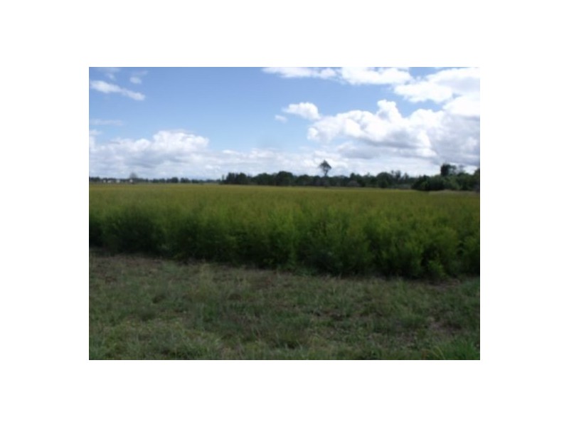 171 Leslie Lane, Tucki Tucki NSW 2480