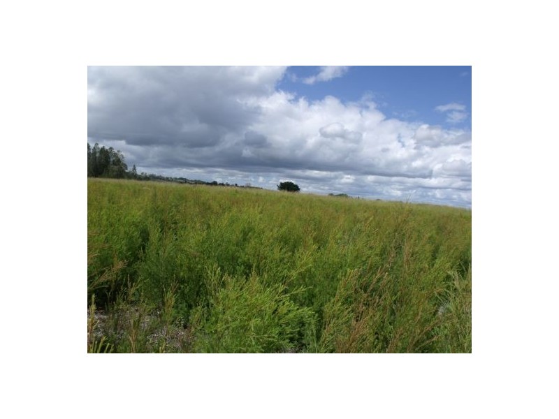 171 Leslie Lane, Tucki Tucki NSW 2480