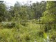 208a Mud Flat Rd, Drake NSW 2469