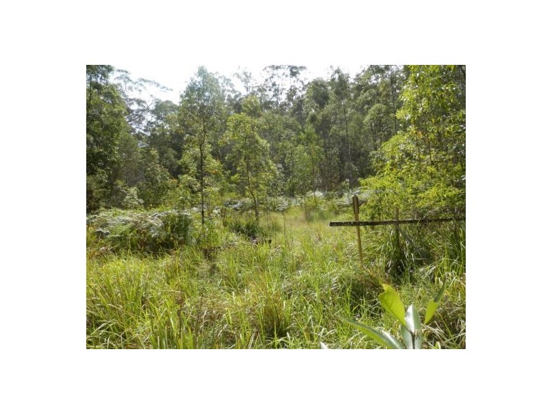 208a Mud Flat Rd, Drake NSW 2469