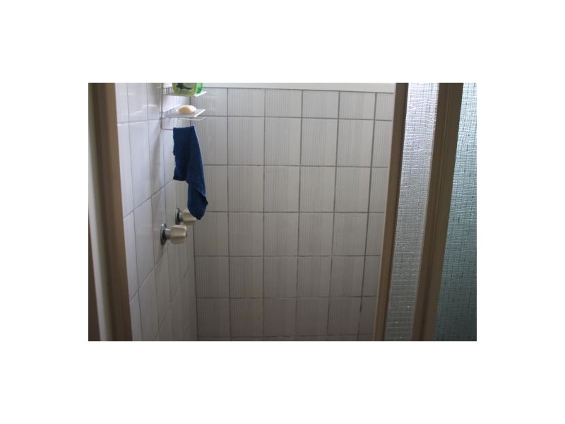 686 Paddy’s Flat Road, Tabulam NSW 2469