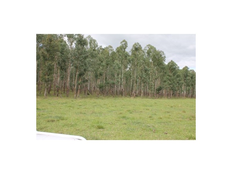 686 Paddy’s Flat Road, Tabulam NSW 2469