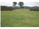 686 Paddy’s Flat Road, Tabulam NSW 2469