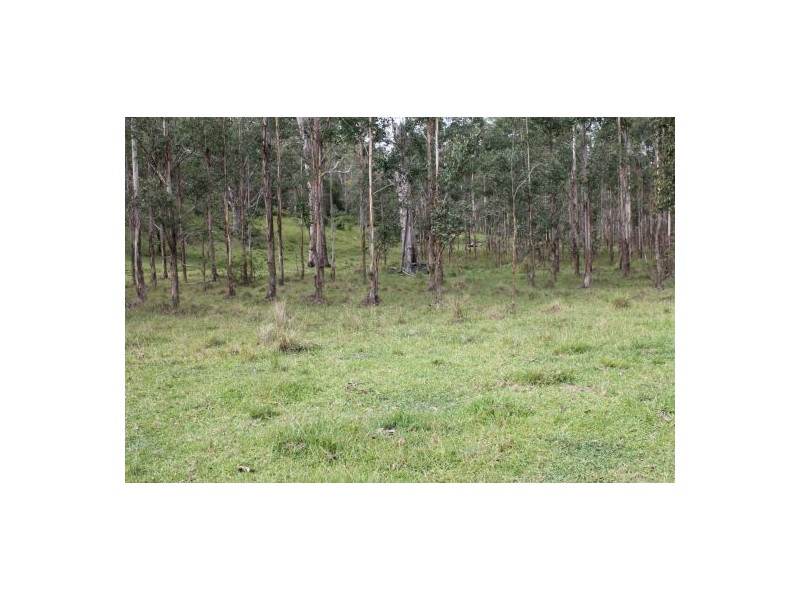 686 Paddy’s Flat Road, Tabulam NSW 2469