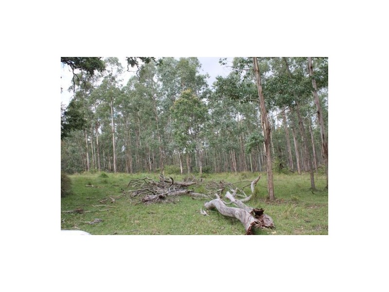 686 Paddy’s Flat Road, Tabulam NSW 2469