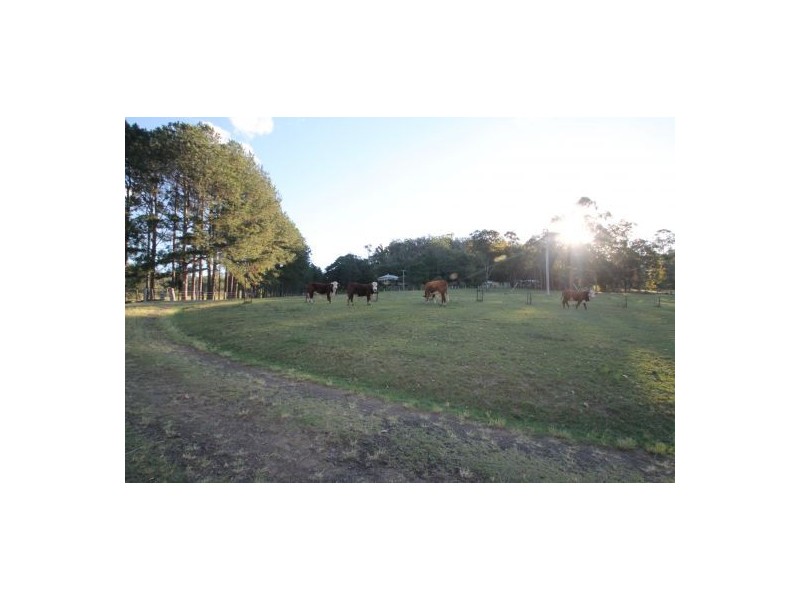 157 Theresa Creek, Theresa Creek NSW 2469