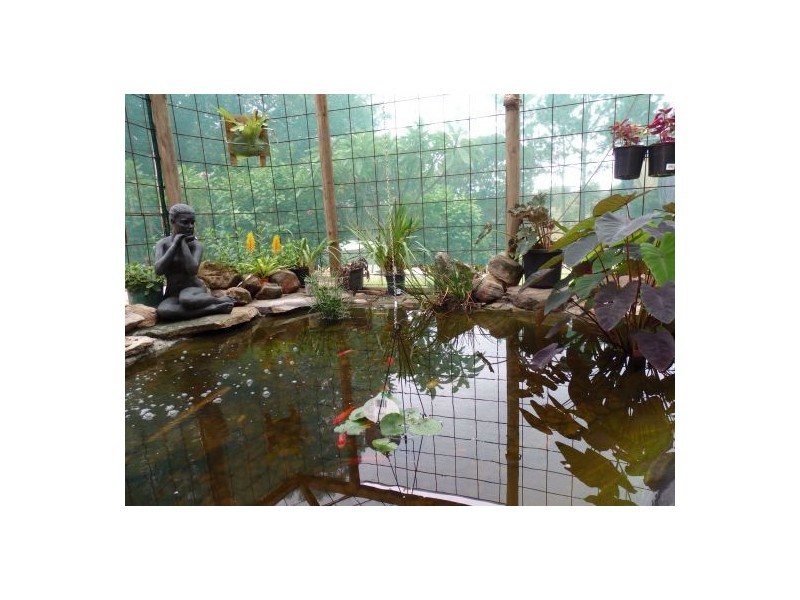 157 Theresa Creek, Theresa Creek NSW 2469