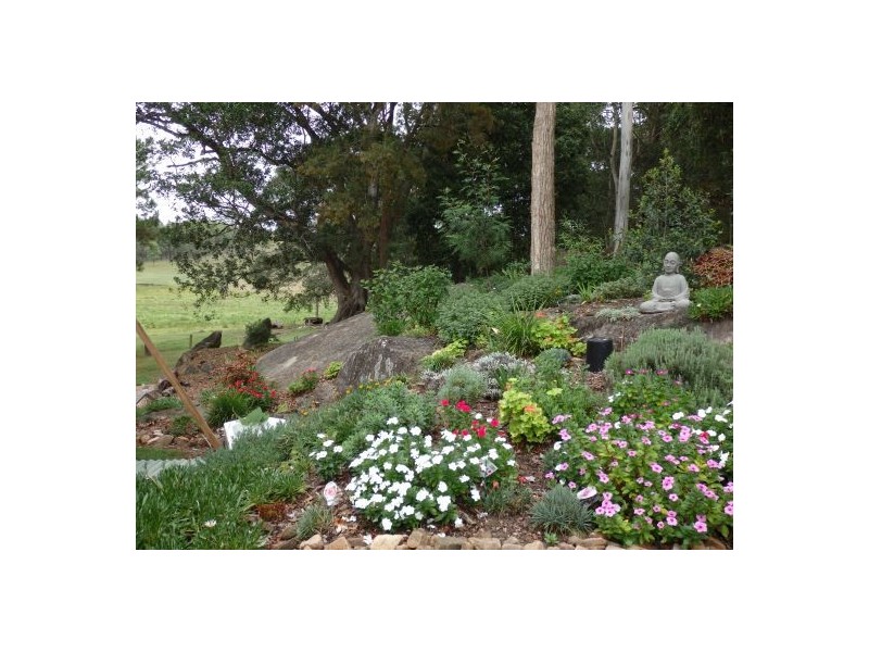 157 Theresa Creek, Theresa Creek NSW 2469