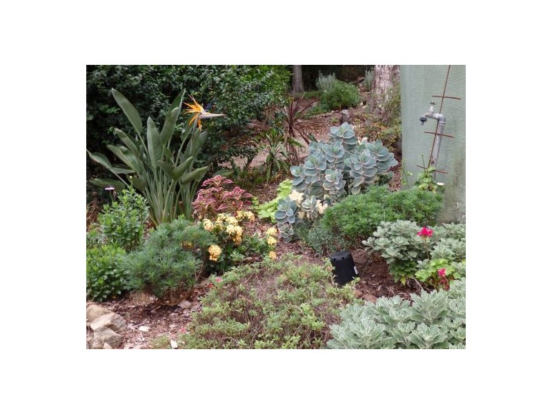 157 Theresa Creek, Theresa Creek NSW 2469