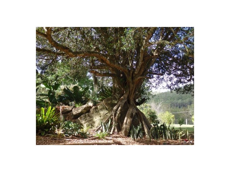 157 Theresa Creek, Theresa Creek NSW 2469