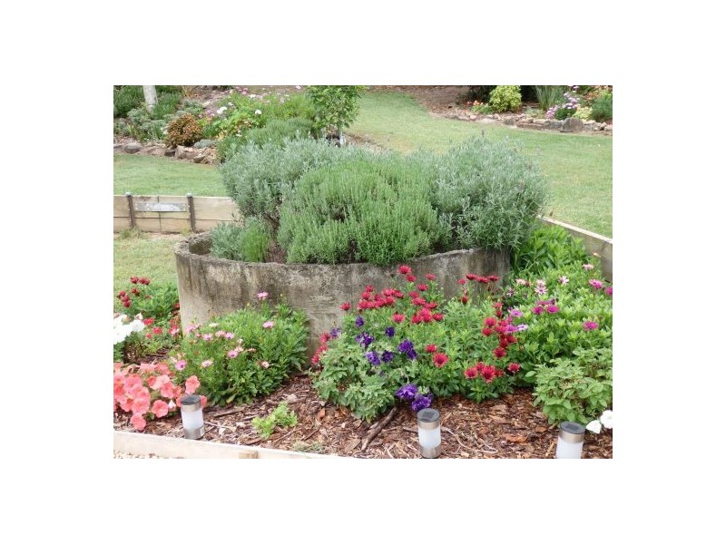 157 Theresa Creek, Theresa Creek NSW 2469