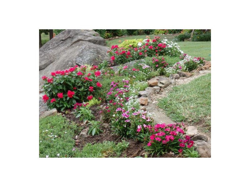 157 Theresa Creek, Theresa Creek NSW 2469