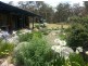 3203 Mount Lindsay Road, Boonoo Boonoo NSW 2372