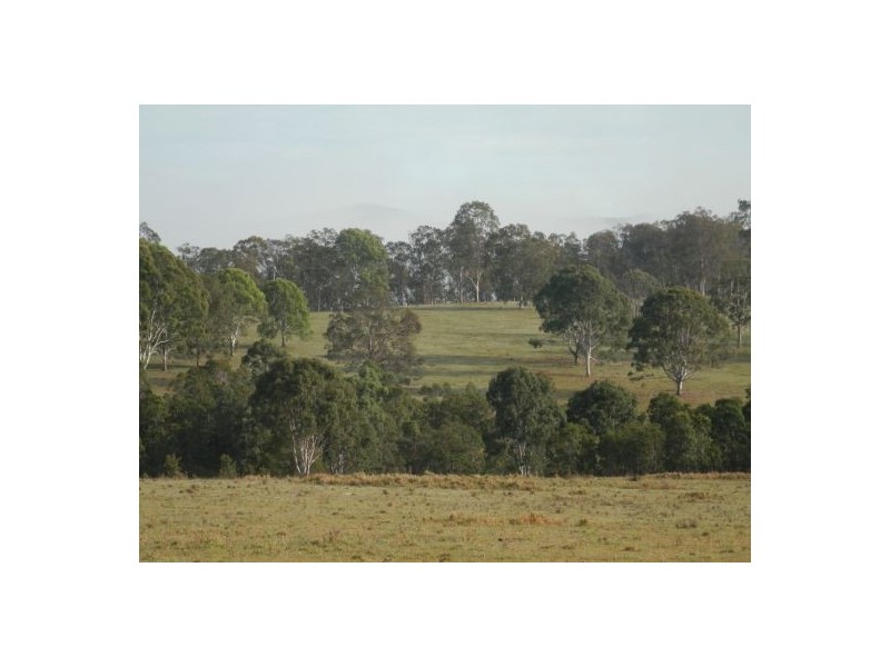 182 Plain Station Road, Tabulam NSW 2469