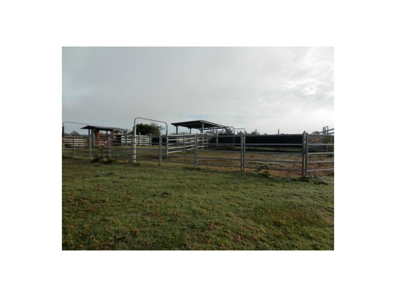 182 Plain Station Road, Tabulam NSW 2469