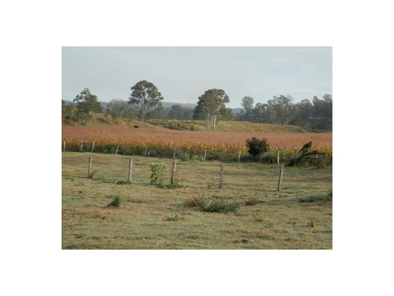 182 Plain Station Road, Tabulam NSW 2469