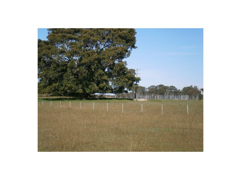 250 Tatham Ellangowan Road, Casino NSW 2470