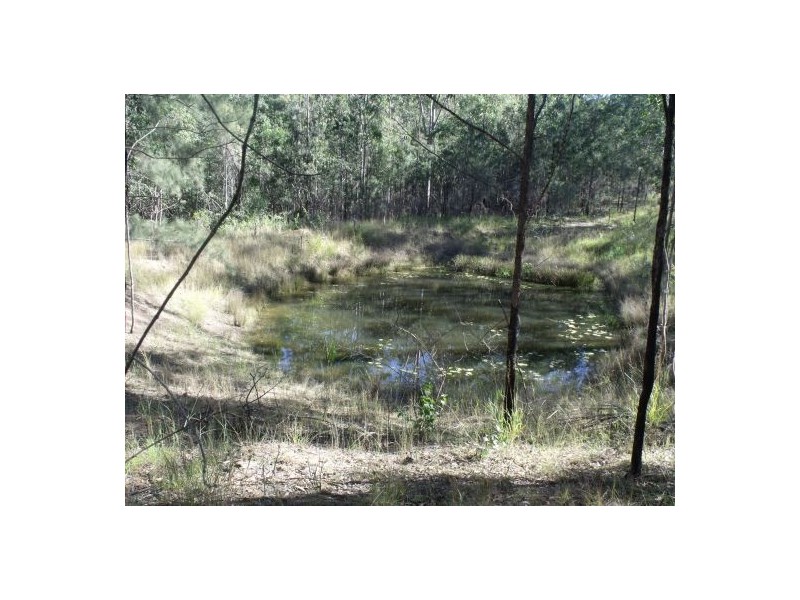 1341 Paddy’s Flat Road, Tabulam NSW 2469