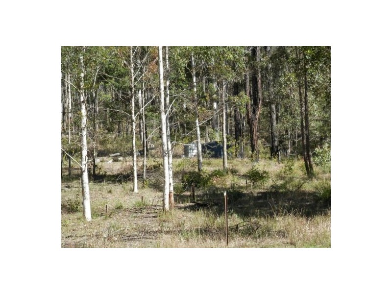 81 Bellbird Rd, Drake NSW 2469