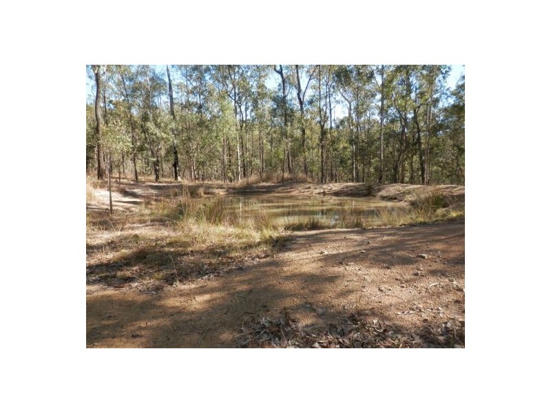 81 Bellbird Rd, Drake NSW 2469