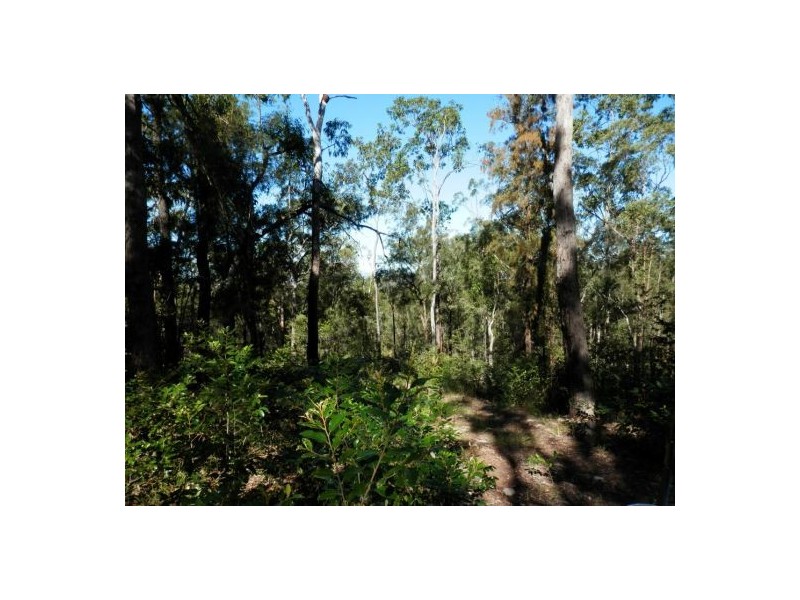 Lot 5 Cyril Smith Circuit, Tabulam NSW 2469