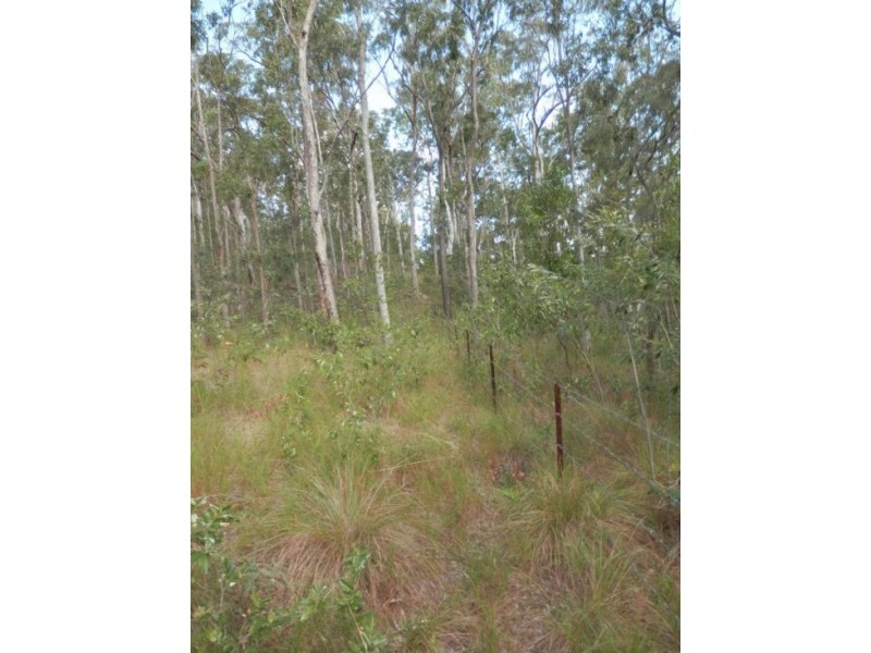 Lot 5 Cyril Smith Circuit, Tabulam NSW 2469
