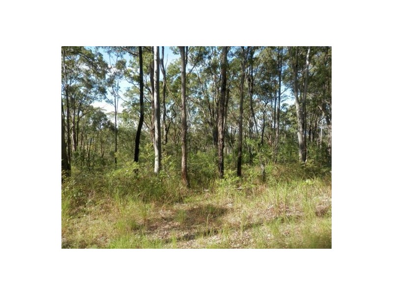 Lot 5 Cyril Smith Circuit, Tabulam NSW 2469