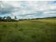 205 Pretty Gully Road, Tabulam NSW 2469