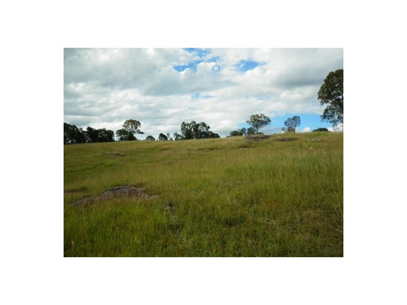 205 Pretty Gully Road, Tabulam NSW 2469