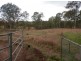 205 Pretty Gully Road, Tabulam NSW 2469
