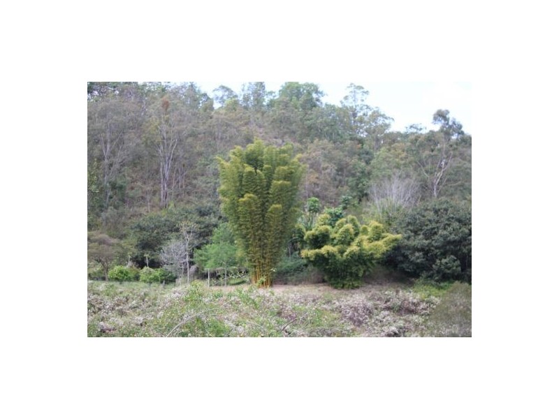 Cedar Point NSW 2474