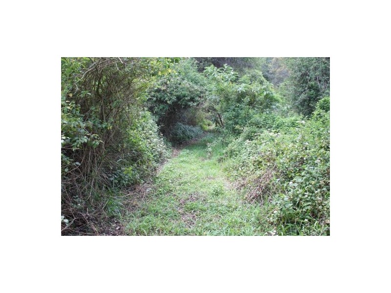 Cedar Point NSW 2474