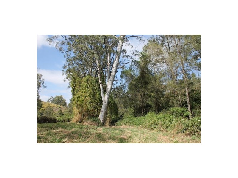 Cedar Point NSW 2474