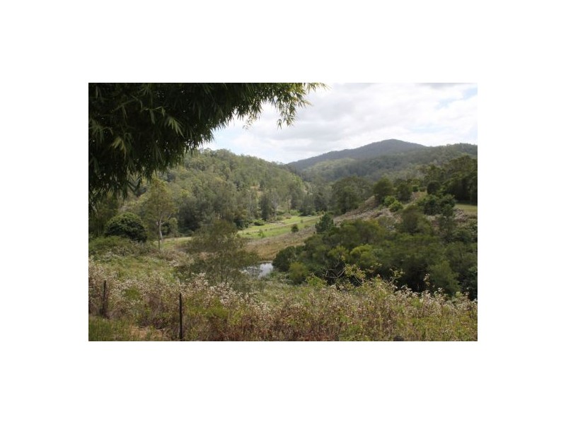 Cedar Point NSW 2474