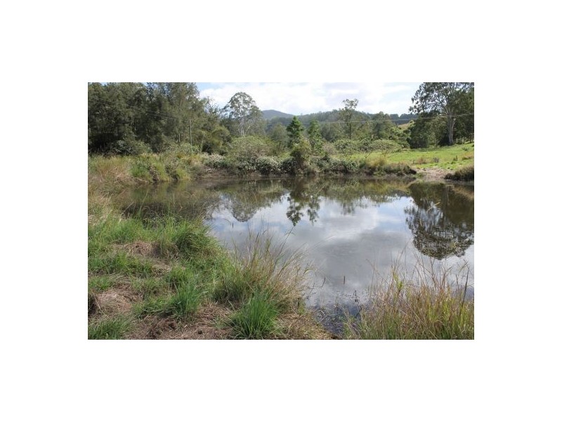 Cedar Point NSW 2474