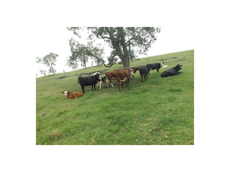 1130 Dyrabba Road, Casino NSW 2470