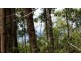 Lot 4 Leslie Creek Rd, Drake NSW 2469