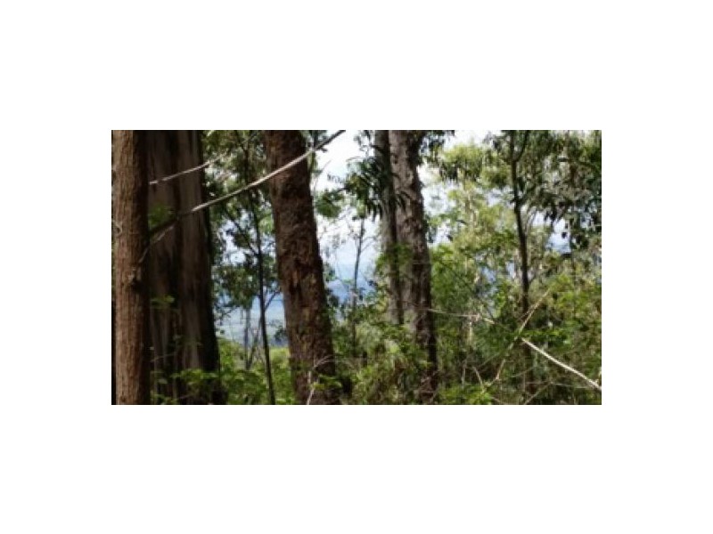 Lot 4 Leslie Creek Rd, Drake NSW 2469