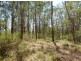 Lot 4 Leslie Creek Rd, Drake NSW 2469