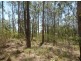Lot 4 Leslie Creek Rd, Drake NSW 2469