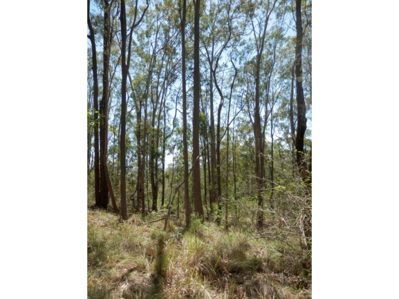 Lot 4 Leslie Creek Rd, Drake NSW 2469