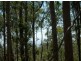Lot 4 Leslie Creek Rd, Drake NSW 2469