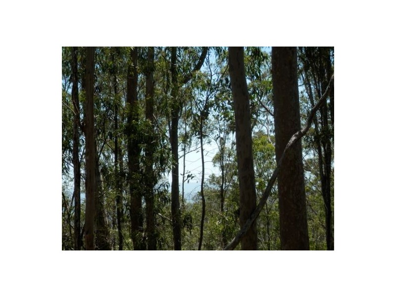 Lot 4 Leslie Creek Rd, Drake NSW 2469