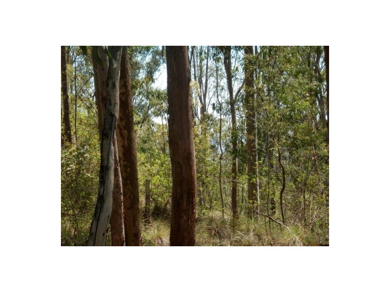 Lot 4 Leslie Creek Rd, Drake NSW 2469