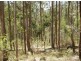 Lot 4 Leslie Creek Rd, Drake NSW 2469