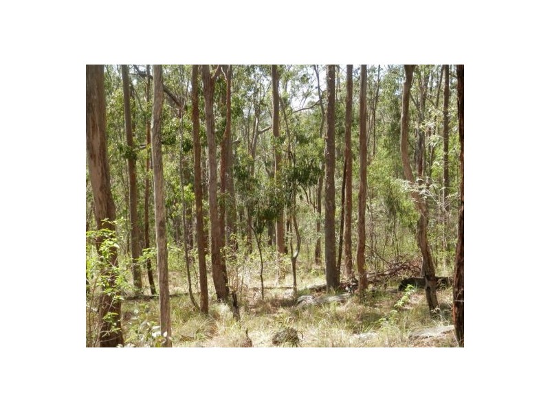 Lot 4 Leslie Creek Rd, Drake NSW 2469