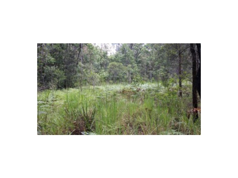Lot 4 Leslie Creek Rd, Drake NSW 2469