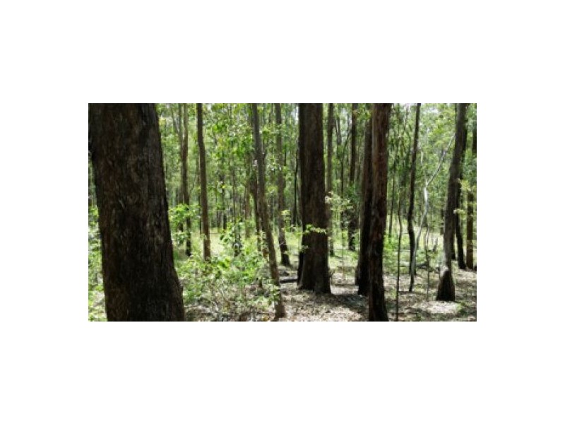 Lot 4 Leslie Creek Rd, Drake NSW 2469